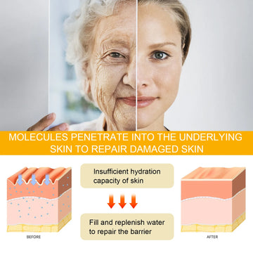Eelhoe Ginseng Face Anti Wrinkle Serum