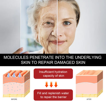 EELHOE 30ml Anti Aging Serum